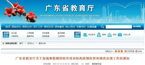 廣東重拳出擊 教育廳嚴打校外培訓機構與民辦學?！懊芸肌眮y象